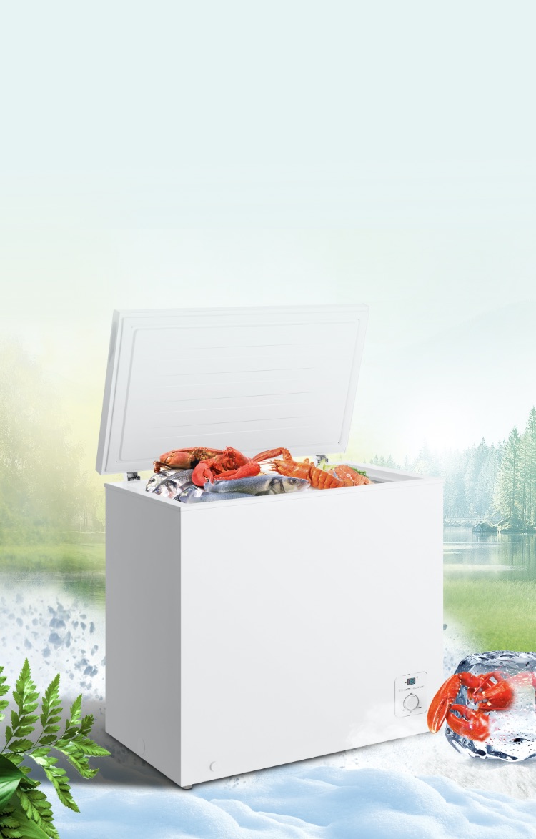 Hisense Chest Freezer Instant Freezing Effects